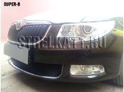 Аксессуары Защита радиатора Premium для Skoda Super-B 2009-2013г.в.(Черный)